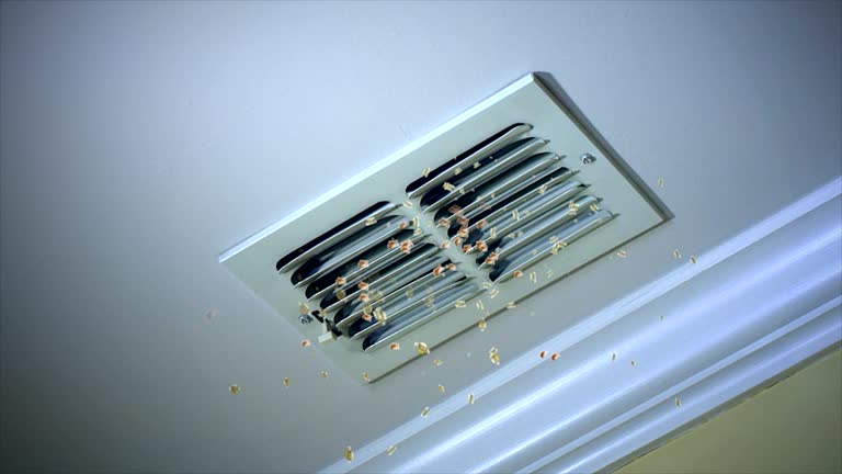 Best Local Air Duct Cleaning Services  in Chadron, NE
