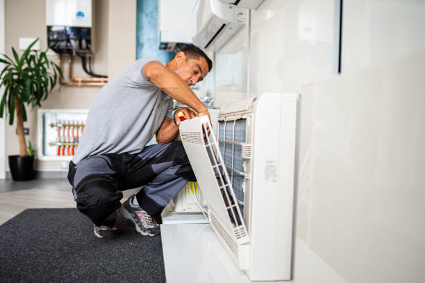 Best Air Duct Mold Removal  in Chadron, NE
